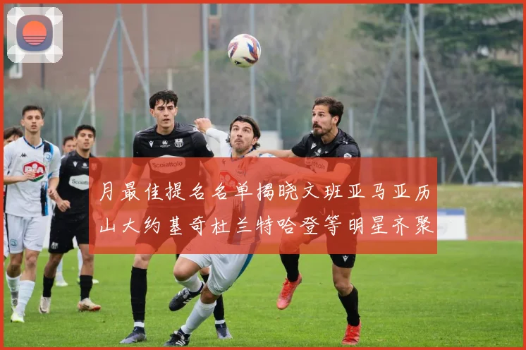 月最佳提名名单揭晓文班亚马亚历山大约基奇杜兰特哈登等明星齐聚争夺荣誉